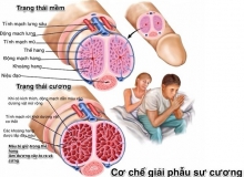 VÒNG ĐEO DƯƠNG VẬT LÀ GÌ? TẠI SAO PHẢI THẬN TRỌNG KHI SỬ DỤNG